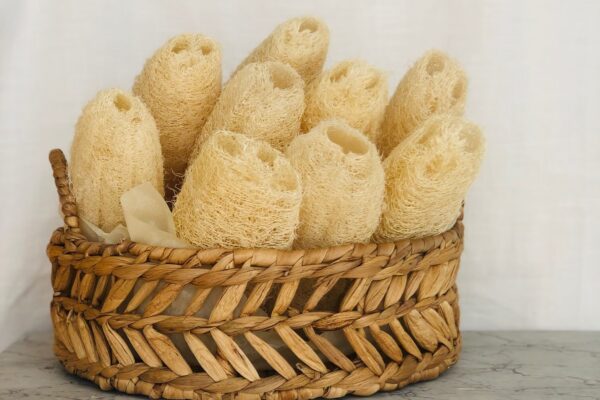 Loofah Svamp Stor - Bild 2